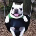 bikofw.