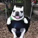 bikofw.