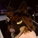 stasiashark