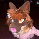 stasiashark