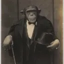 monkeywithdrip_