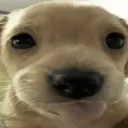 itsyourboy_steven