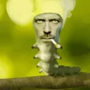 surnat avatar
