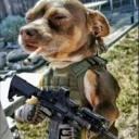 https://cdn.discordapp.com/avatars/684864096557990026/48fb52f01de161b7a54ff08cdb77884a.jpg?size=128