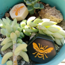 vimejia90252's Avatar