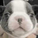 avatar booger monster