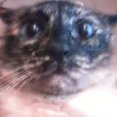 sorcerersilly