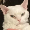 zzbby