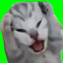 hogeho