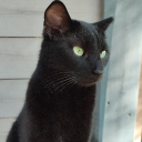 avatar NicoleCerealBowl