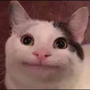 lemon__stealer