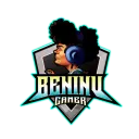 beninvgamer