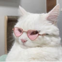 avatar 𝓜𝓲𝓪 🤍