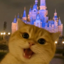 avatar 𝓜𝓲𝓪 🤍