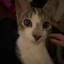 jenscv9