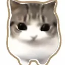 kubuswid