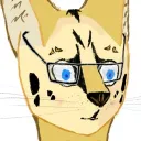 attaccofdaserval