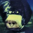 jackie_tuff