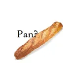 pantorchyt