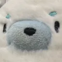 caligxnosity