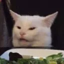 salt069143