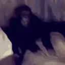 monke8391