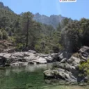 piyush4733