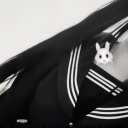 avatar ᐢ˲ ̫ ˱ᐢ⨾