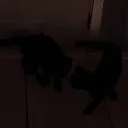 riotweb