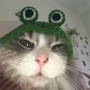 someboi23