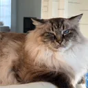 mrbernard