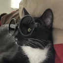 moopd