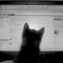 avatar super jolly and holly nex