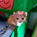 iiomori