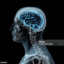 avatar rodolfonasvay