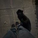 avatar 𝘬𝘢𝘵𝘪𝘦