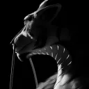 catdrgn