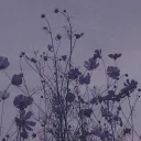 flowerysae