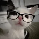 i_like_cats09 avatar