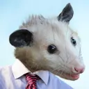 vernosai