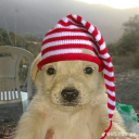 avatar ChucklesWuzHere