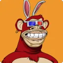 .cryptobunny