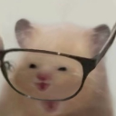 avatar 𝐾𝔞𝘵𝔞𝖗ข𝒌ї𝖙ơ