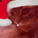 avatar 𝐾𝔞𝘵𝔞𝖗ข𝒌ї𝖙ơ