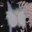 .ijmre