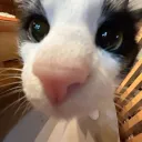 vaeynx