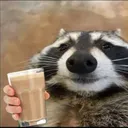 danilkm