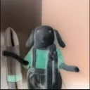 lulu_fou