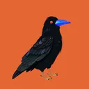 blockchain_zh