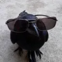 .gio._